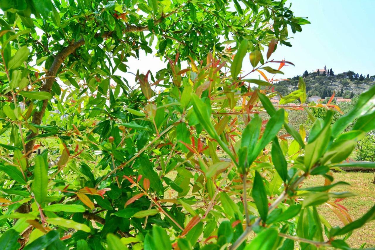 Apartment Nadoveza Tribalj Dış mekan fotoğraf